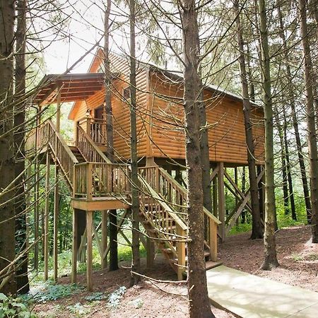 Whispering Pines Treehouse By Amish Country Lodging Millersburg Eksteriør bilde