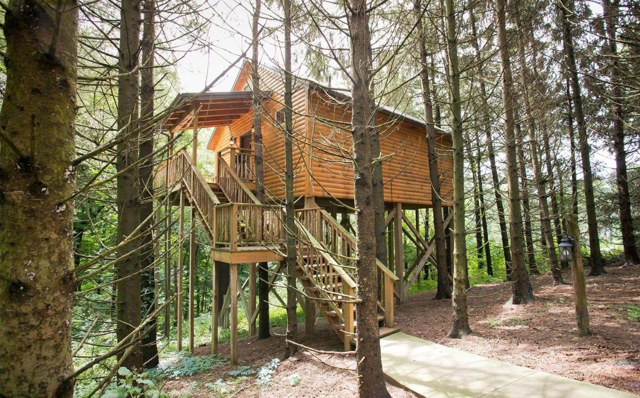 Whispering Pines Treehouse By Amish Country Lodging Millersburg Eksteriør bilde